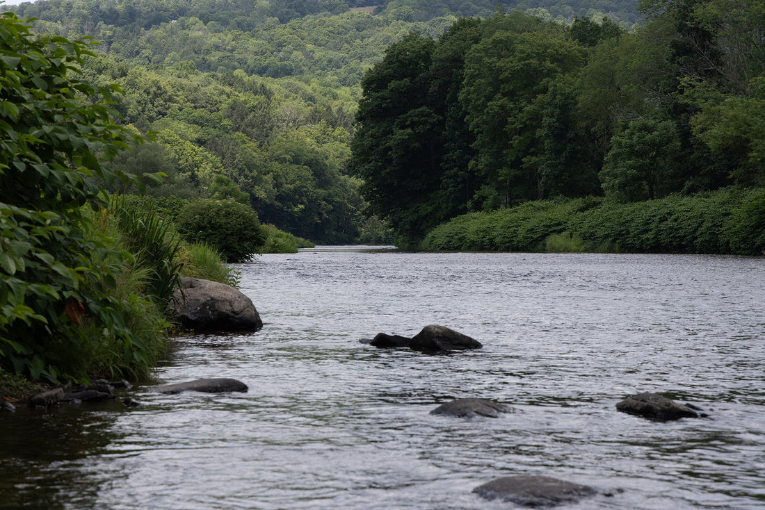 The Catskill Tradition