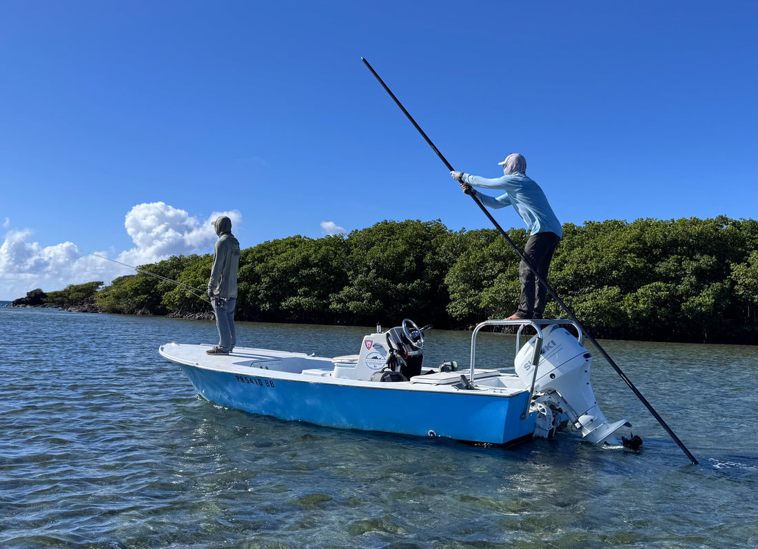 Post Saltwater Blues: A Comedy