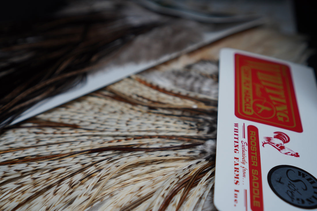 Rooster vs Hen Hackle in Fly Tying: What You Need to Know