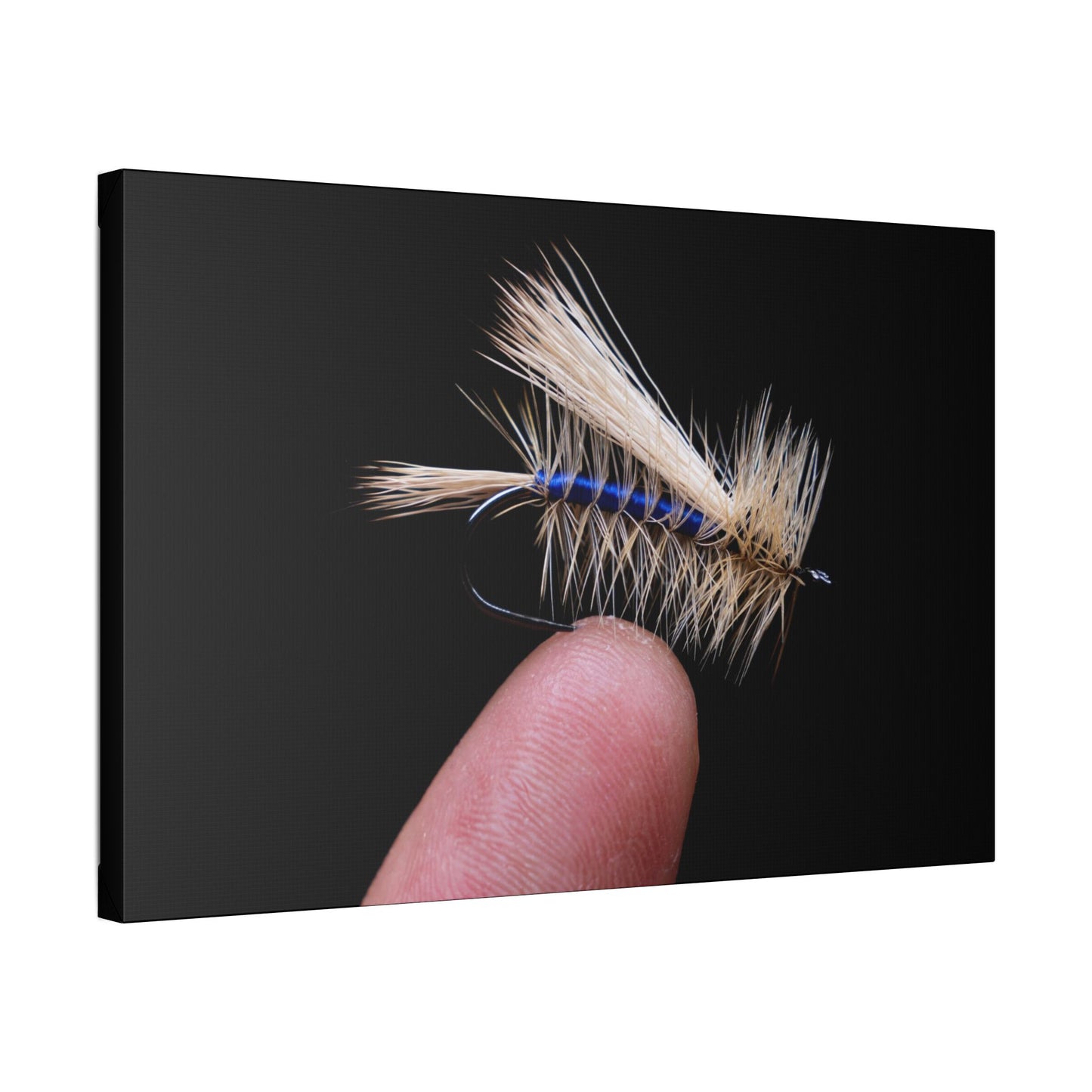 Stimulator Canvas Print