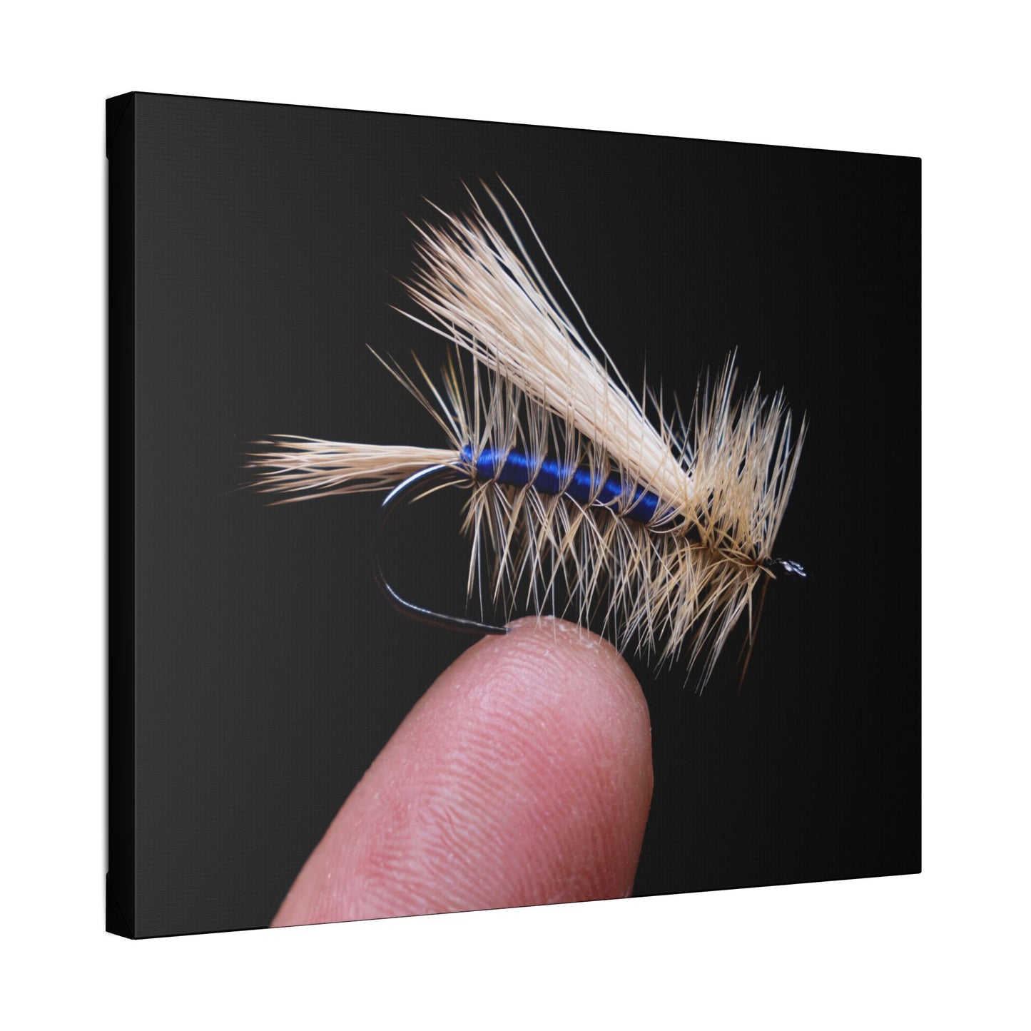 Stimulator Canvas Print