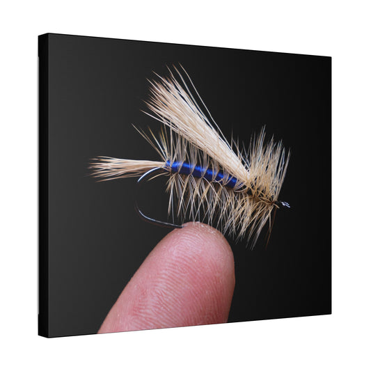 Stimulator Canvas Print